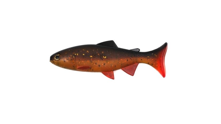 Anglers King Sugar Shaker Trout - 575