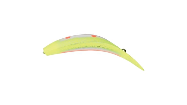 Worden's Flatfish M2 - DTCO