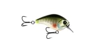 13 Fishing Scamp - GL - Thumbnail