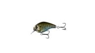13 Fishing Scamp - BR - Thumbnail