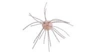 Strike King Tumbleweed Floating - 551 - Thumbnail