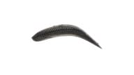 Worden's Flatfish F5 - MSBL - Thumbnail
